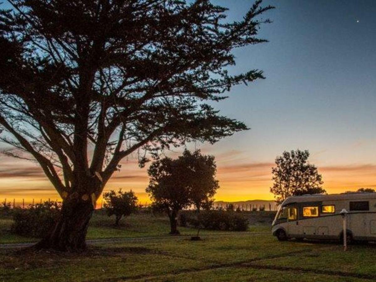 Mahia Motel And Holiday Park Buitenkant foto